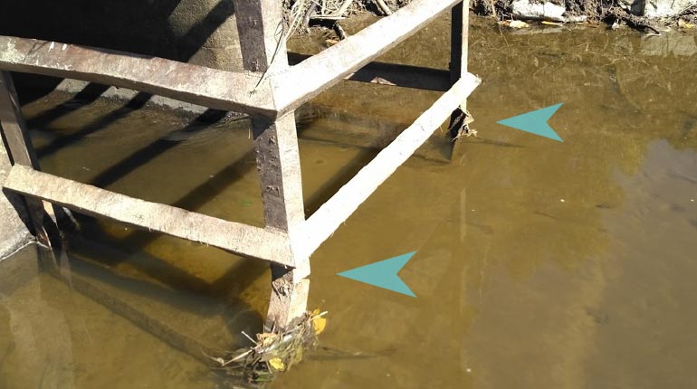 Repairing and maintaining the dams