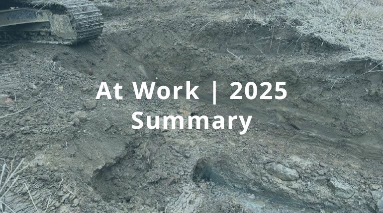 At Work | 2025 - Summary