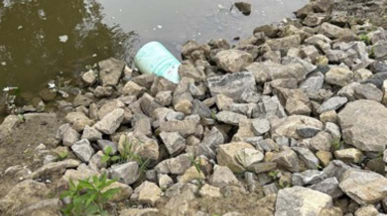 Chippewa Creek Reach LC01 